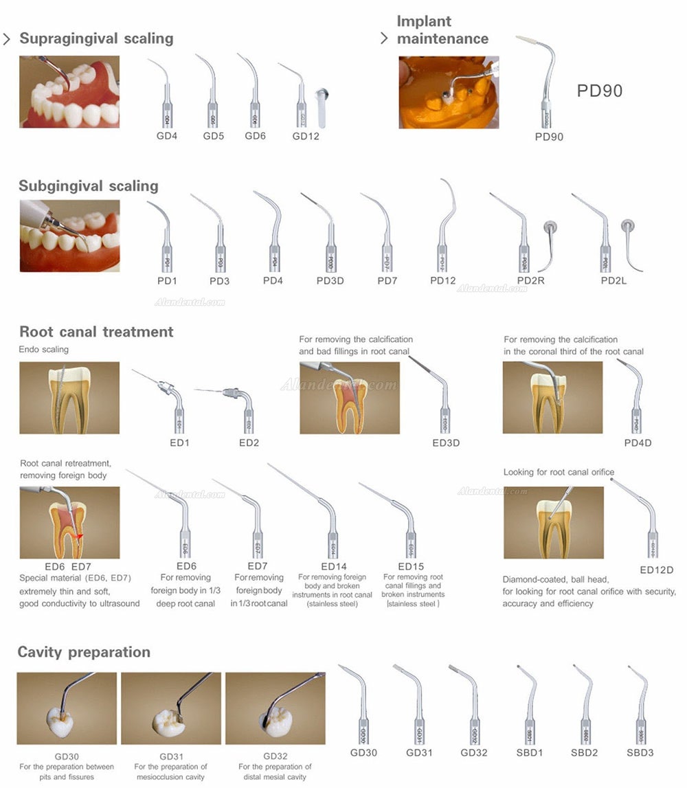 Woodpecker® DTE D7 Dental Ultrasonic Scaler SATELEC Compatible FDA/CE